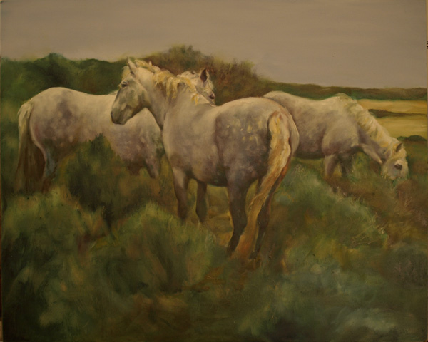  Camargue - Grazing, 24x30", oil on masonite 
 by equine artist Karen Brenner   