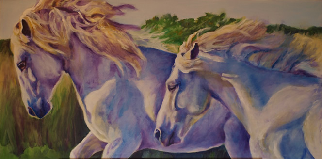  Camargue - Two Stallions Up Close,
36x18", oil on masonite,  by equine artist Karen Brenner   