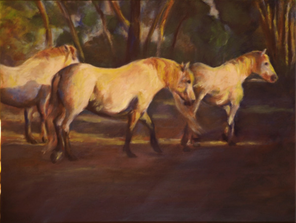  Camargue - Waiting Along a Dirt Road,
24x18", oil on masonite,  by equine artist Karen Brenner   