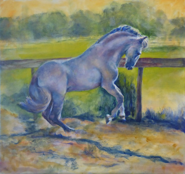 Coraje in Pasture - Andalusian stallion painting by Karen Brenner