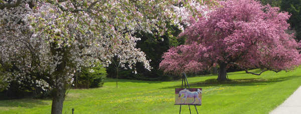 Arabian Horse Painting - at Secrest Arboretum