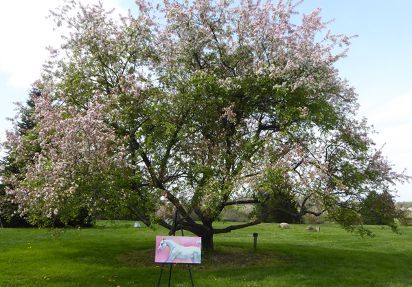 Pink Arabian Horse Painting - at Secrest Arboretum