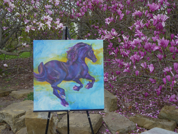 Friesian Stallion Minkse at Secrest Arboretum