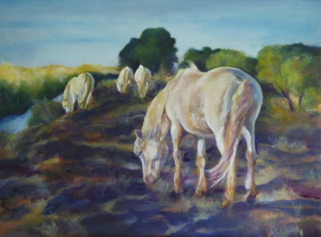 Camargue - On Dry Land, 34x26", oil on masonite by Karen Brenner